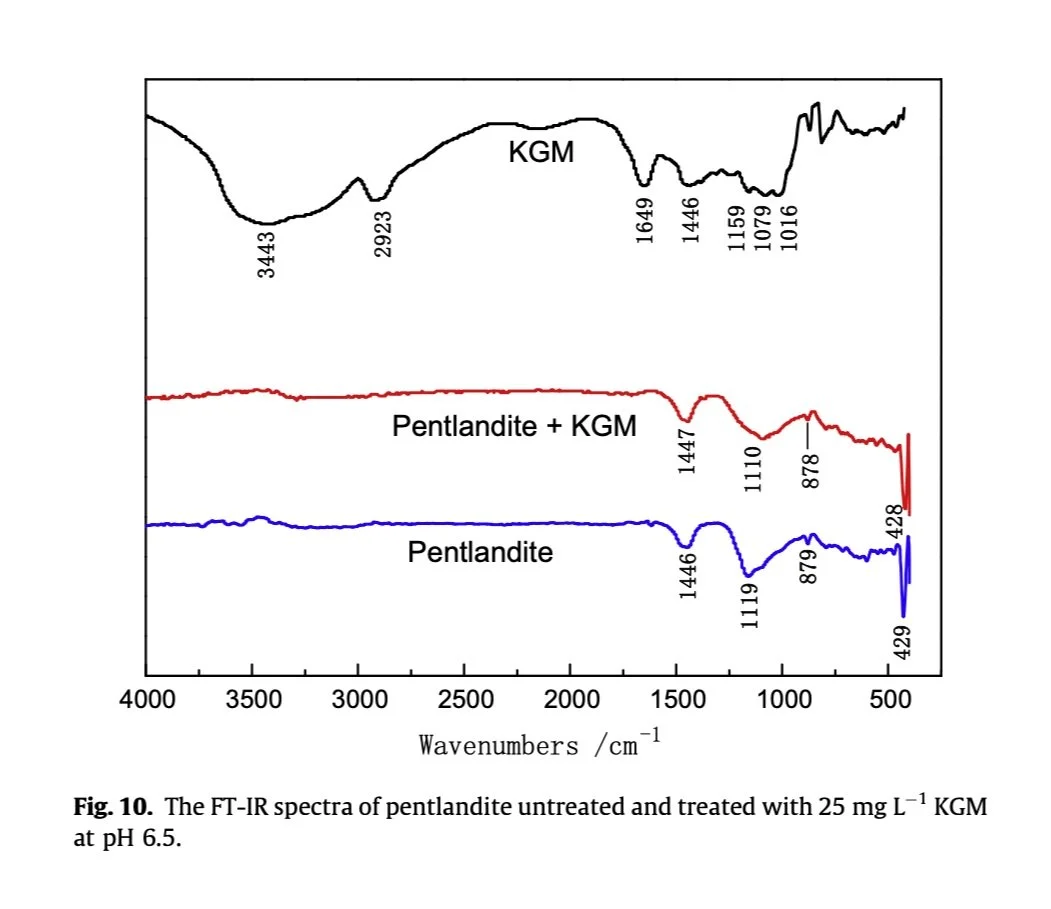 Fenugreek Gum: Depressant Galactomannan Study