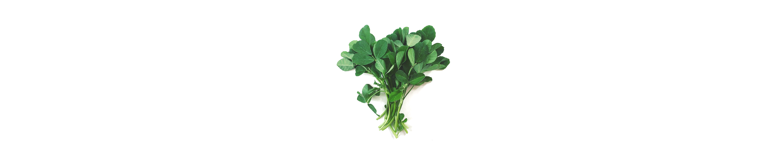 fenugreek_emerald_seed_products-01.png