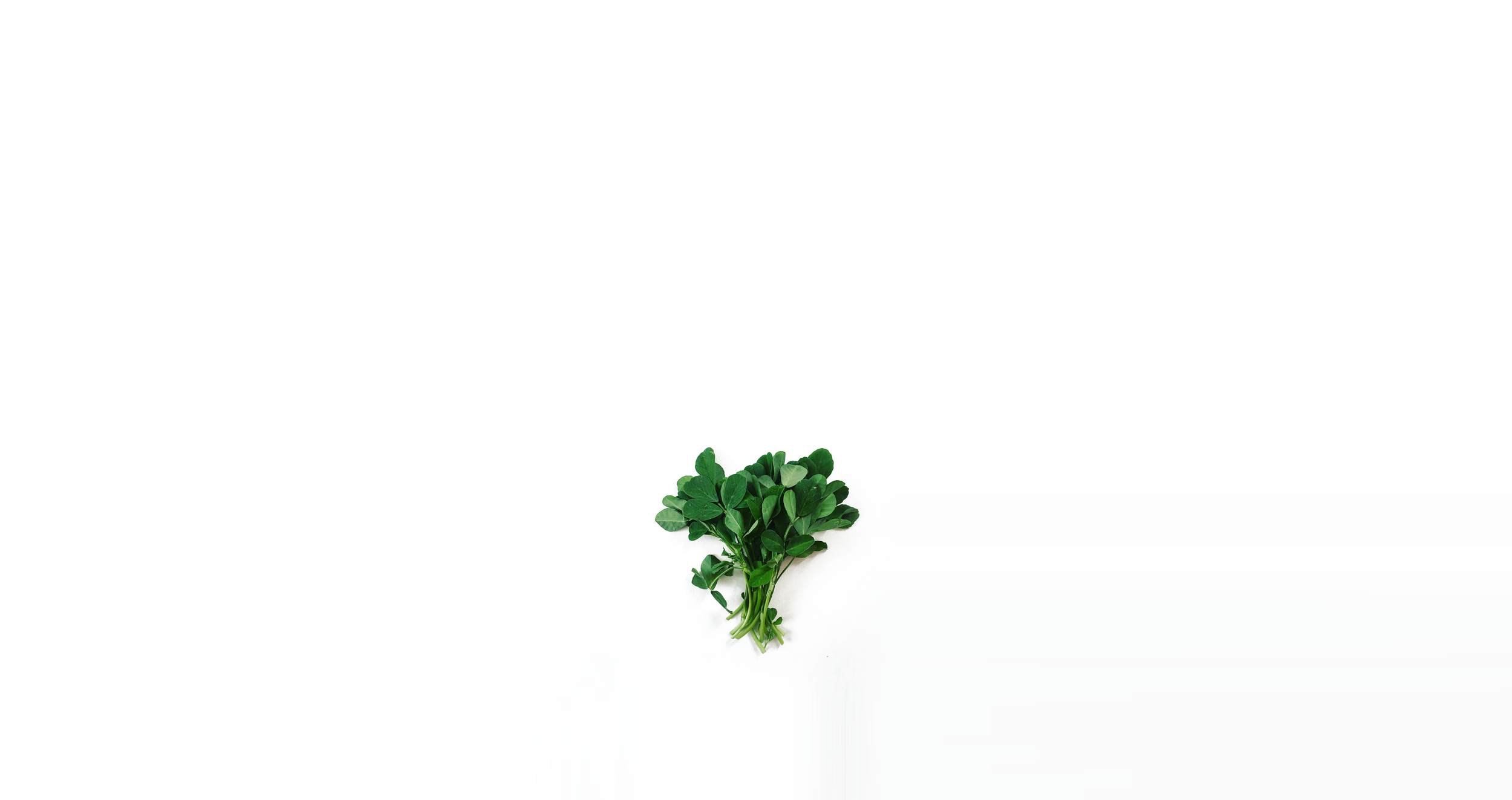 banner_white_centered.png