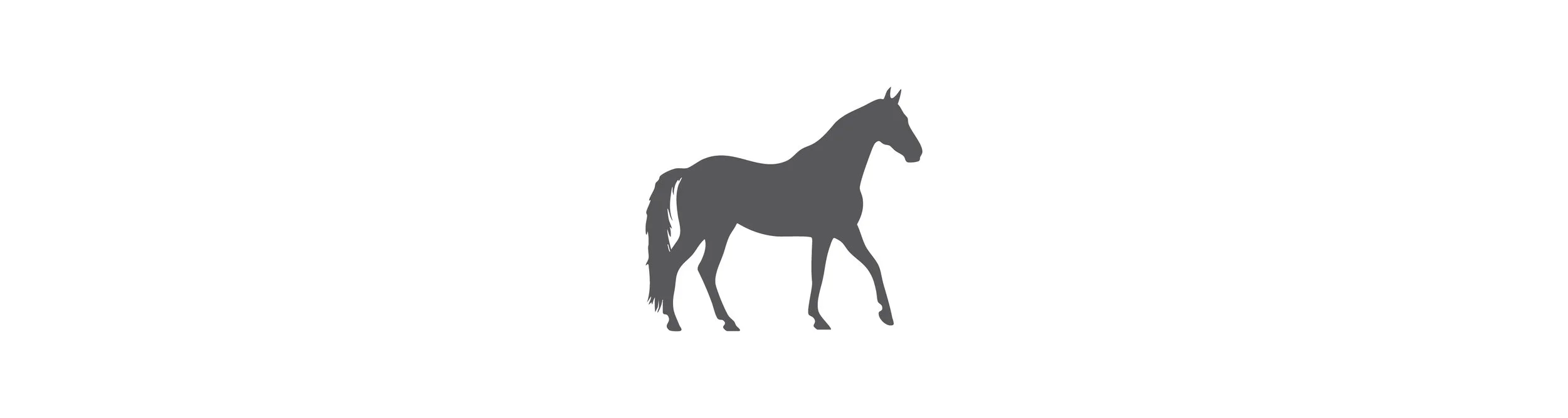 horse-nutrifen.jpg
