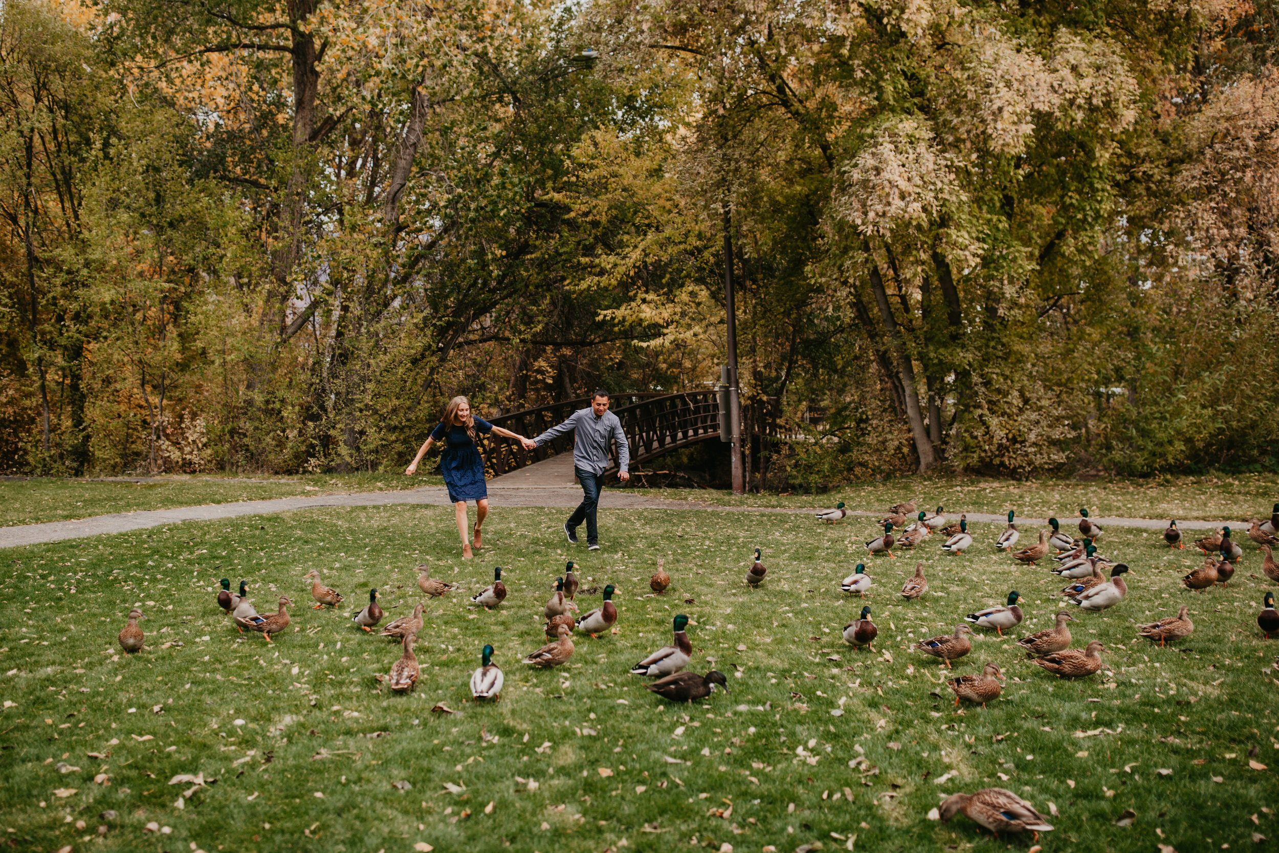 Fall couple engagements autumn leaves chasing ducks green