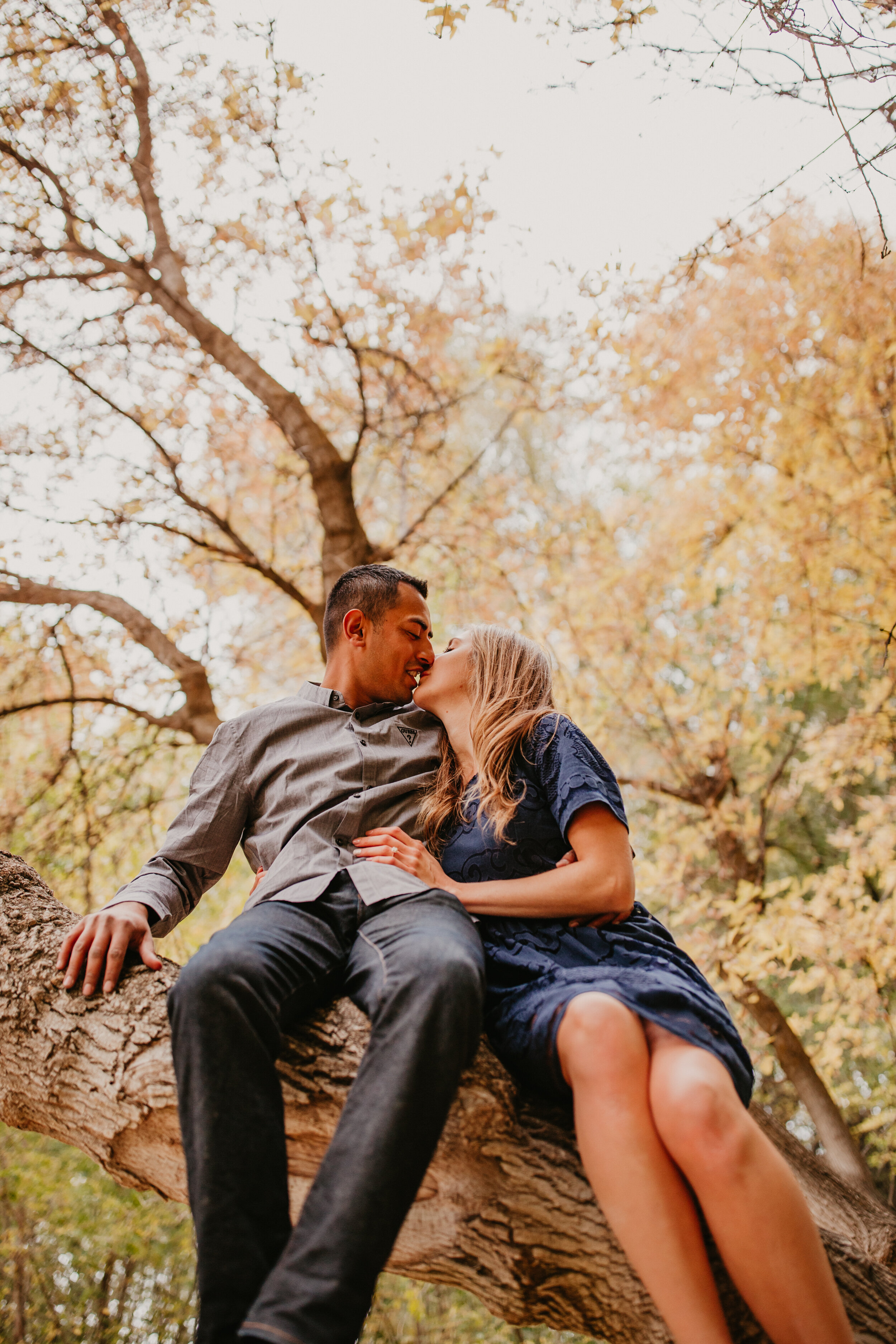 Fall couple engagements autumn leaves climbing tree