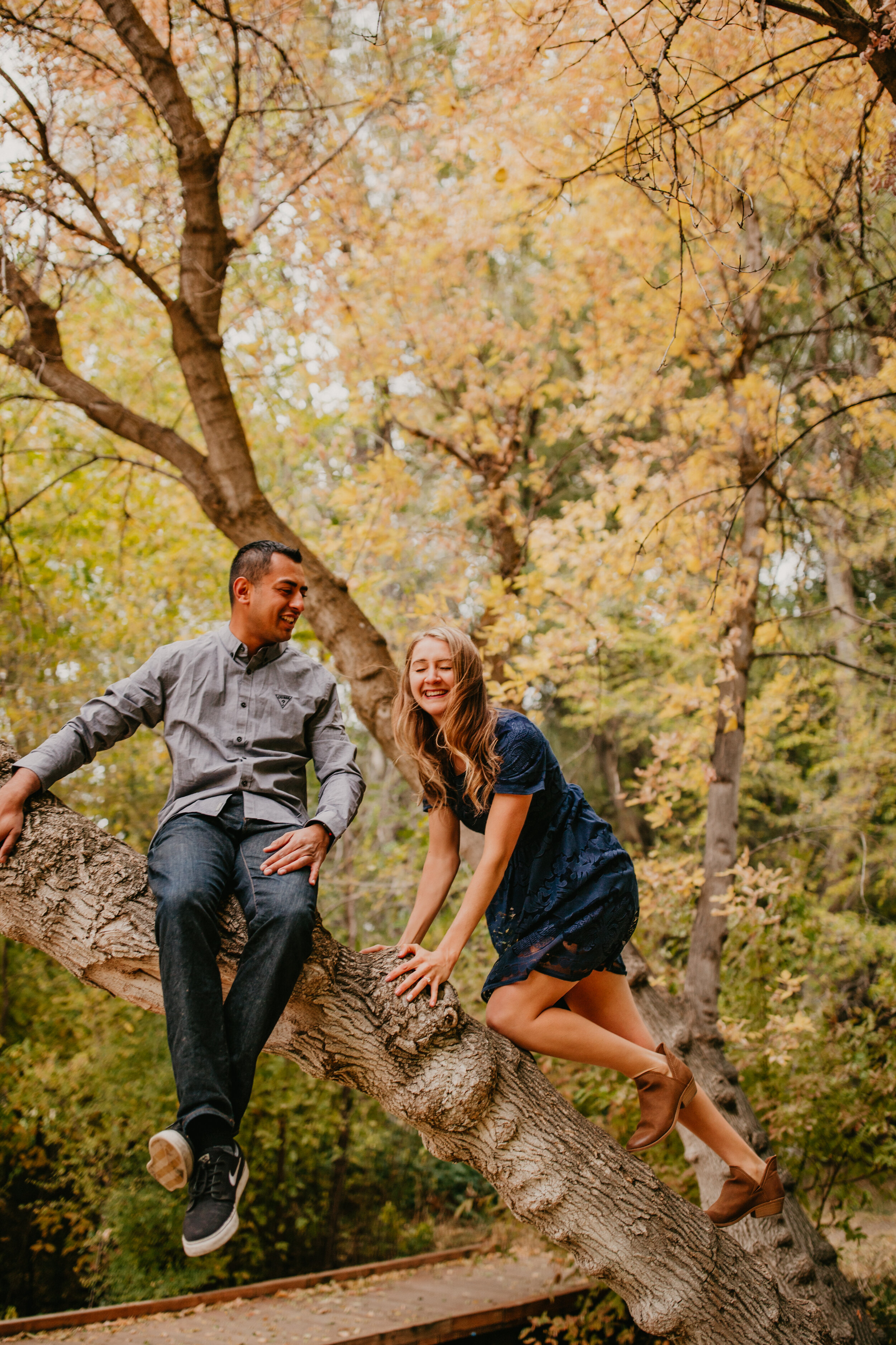 Fall couple engagements autumn leaves climbing tree