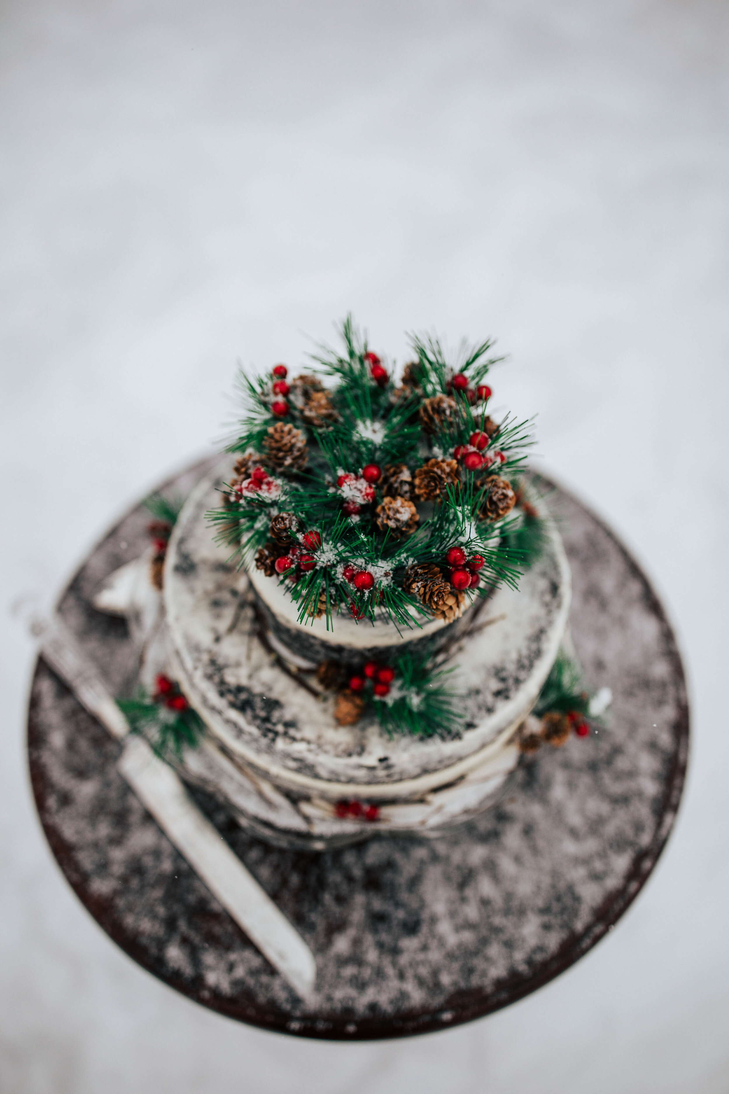 Chocolate wedding cake white vanilla frosting pine cones green holly berries snowy cake cutting table winter #weddingcake #cake #weddingphotographer #chocolatecake #cakevendor