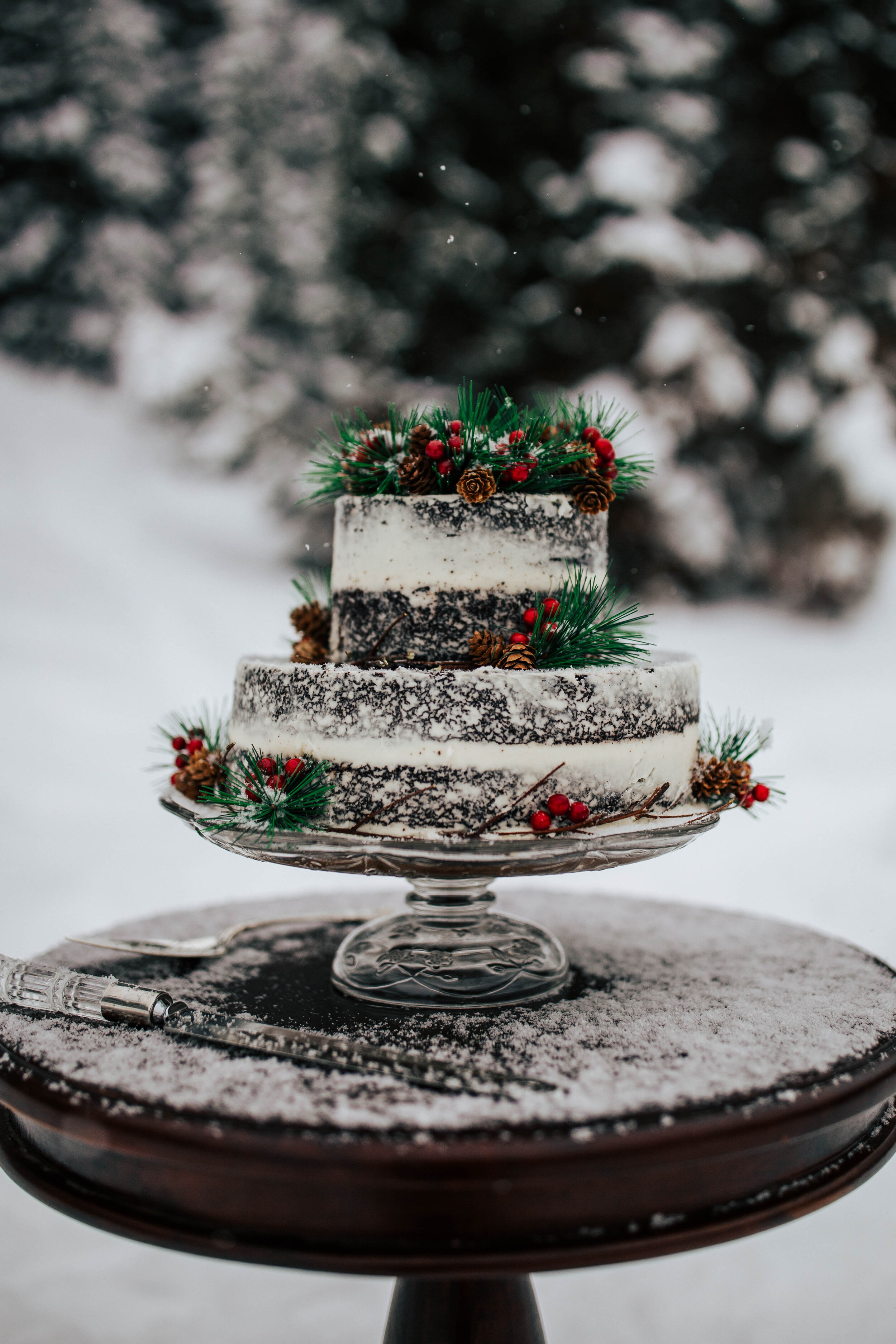 Chocolate wedding cake white vanilla frosting pine cones green holly berries snowy cake cutting table winter #weddingcake #cake #weddingphotographer #chocolatecake #cakevendor