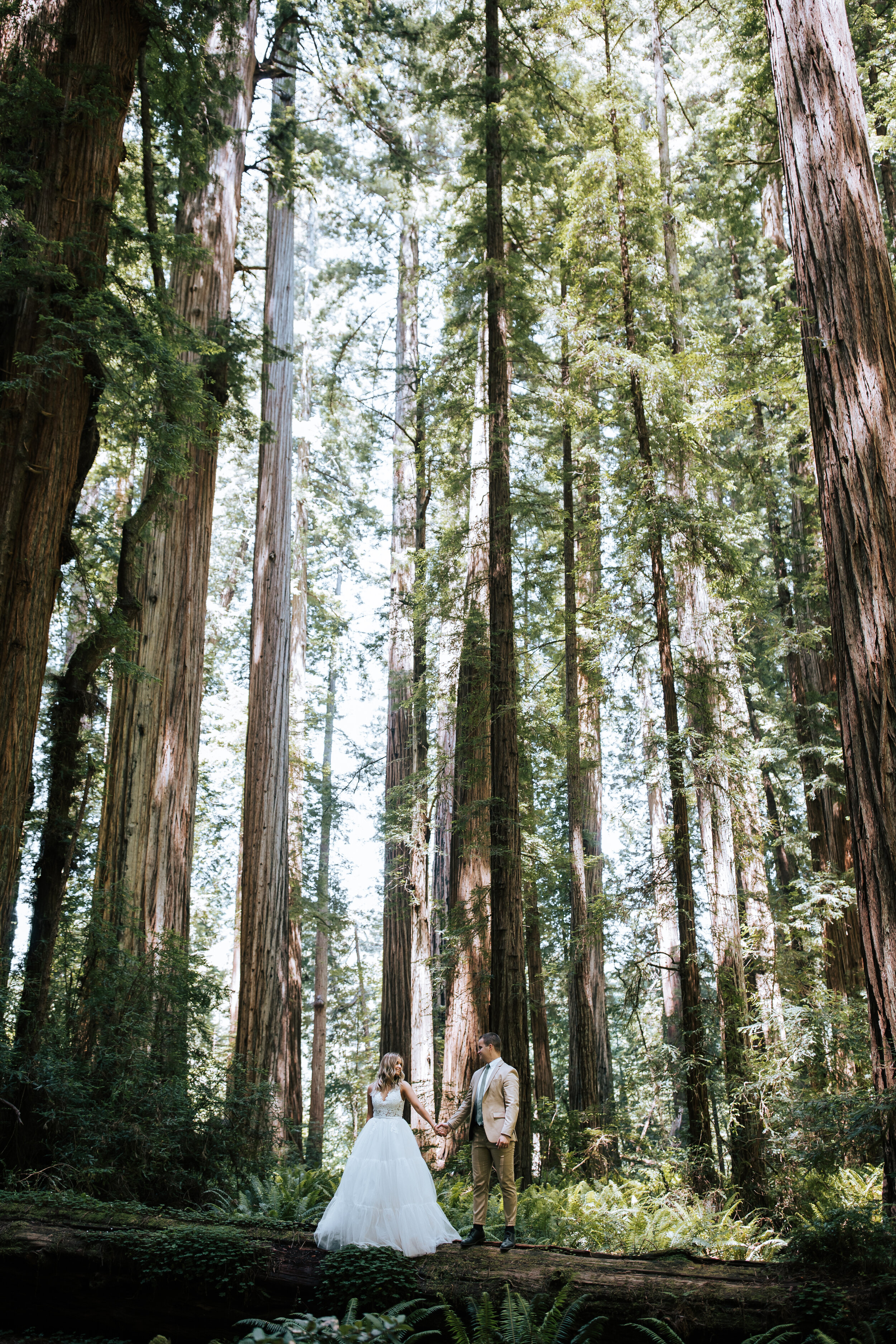  Bride and groom eloping in the Redwoods in California. Close up bride and groom. Redwoods elopement photographer wedding in Redwoods National Park. Elopement in the forest. Wedding attire wedding dress inspo Redwoods bridals #californiaphotographer 