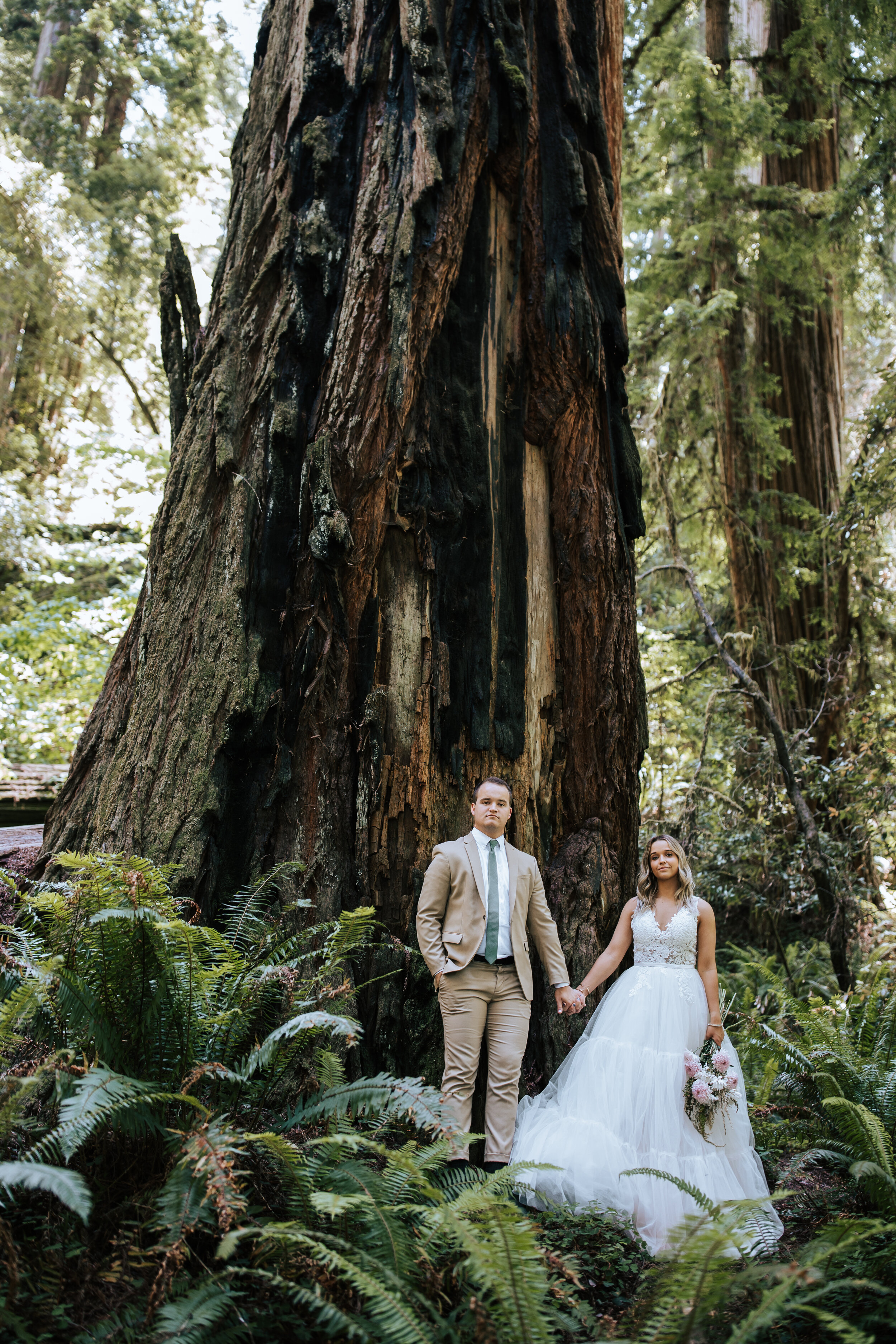  Bride and groom eloping in the Redwoods in California. Close up bride and groom. Redwoods elopement photographer wedding in Redwoods National Park. Elopement in the forest. Wedding attire wedding dress inspo Redwoods bridals #californiaphotographer 