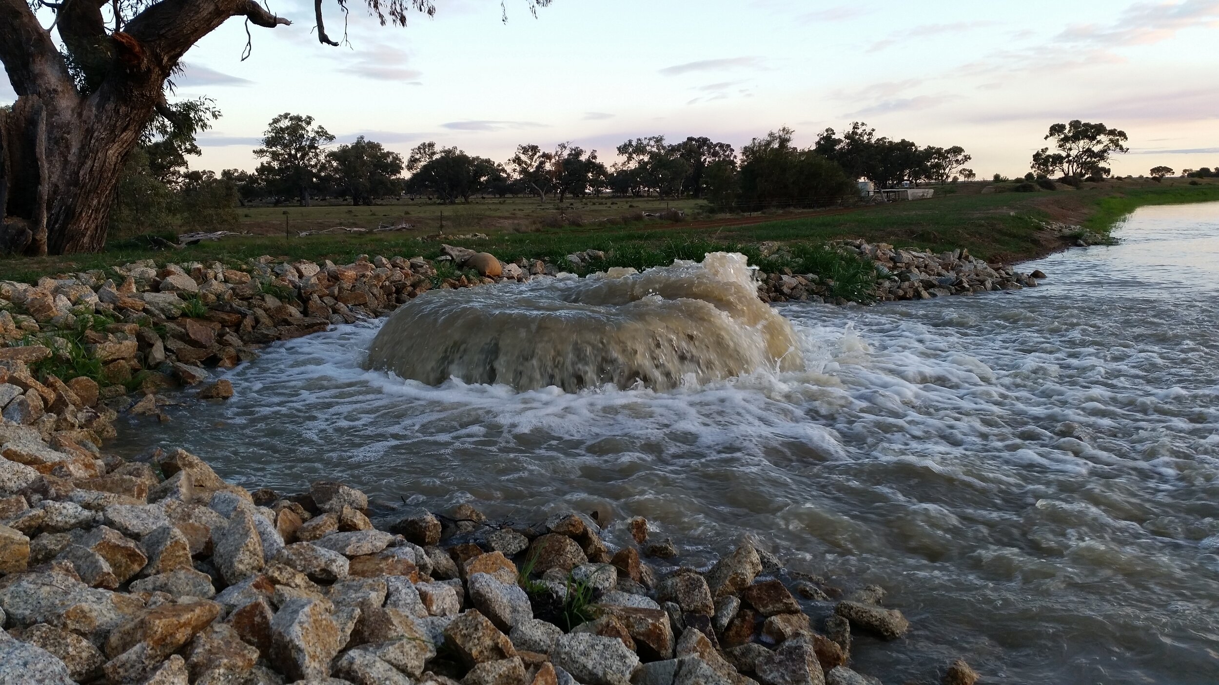 Discharge Bubbler