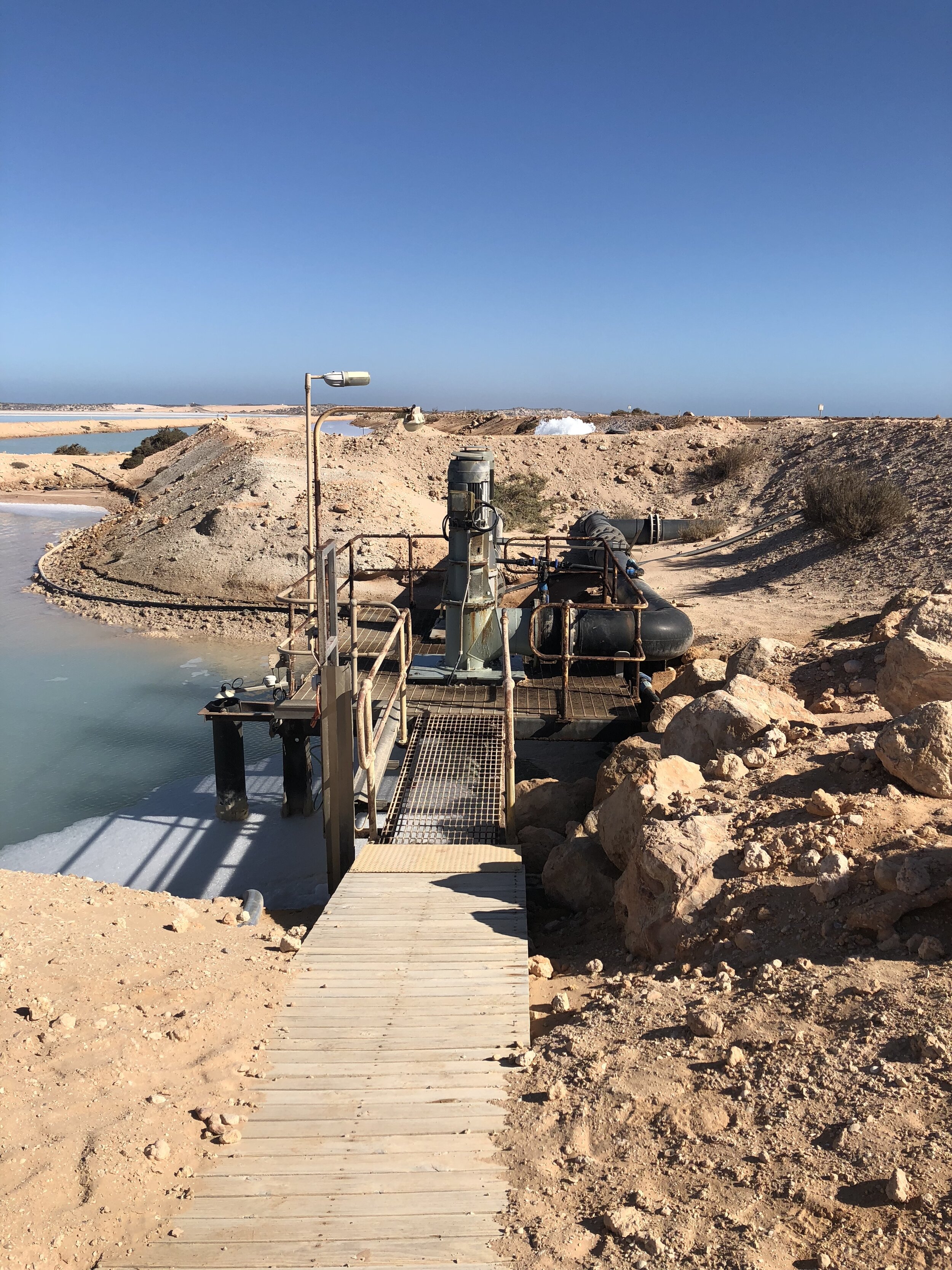 Ornel Pumps at Shark Bay Salt