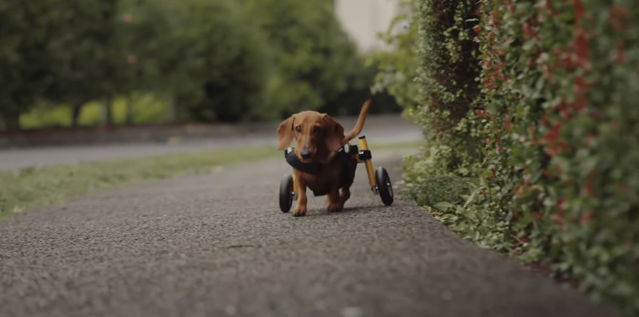 Arvida Life Your Way 60