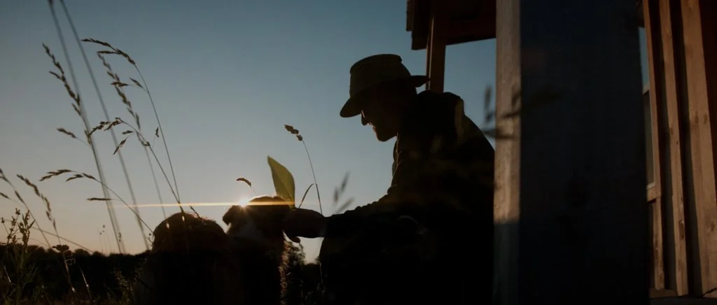 Silhouette of Mitch at Good Family Farms. From our recent documentary "The Good Farm"