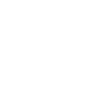 logo7.png