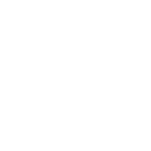 logo6.png