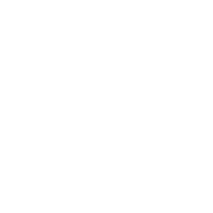 logo17.png