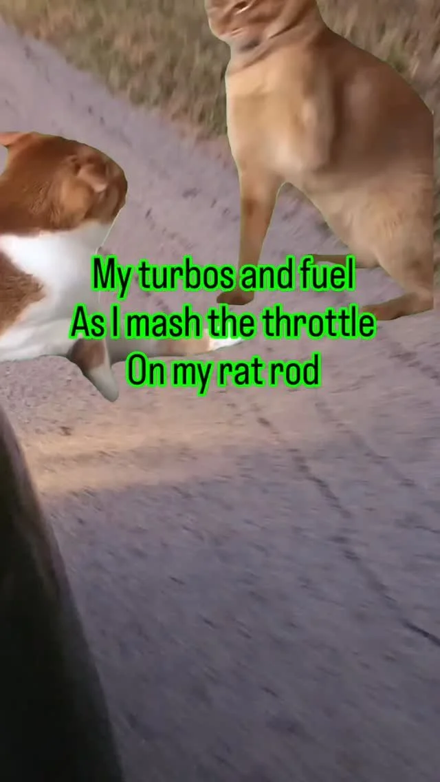 That little 4bt is back running!  I bet its regretting it! Lol
#turbonoises #4bt #ratrod #diesel #dodge