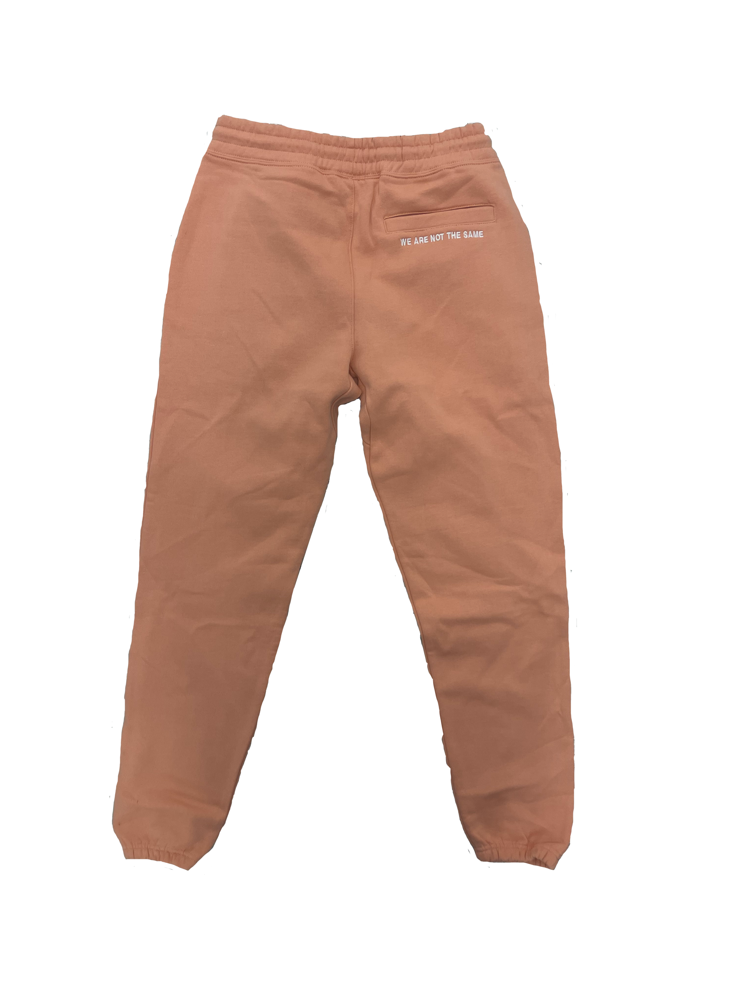 WANTS(salmonsweatpants-back).png