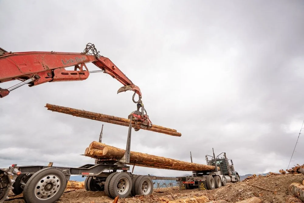 Logging Loading.jpeg