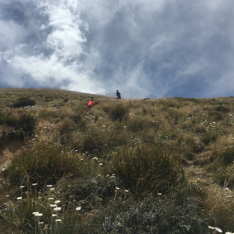Mt Oxford Climb (1364m)