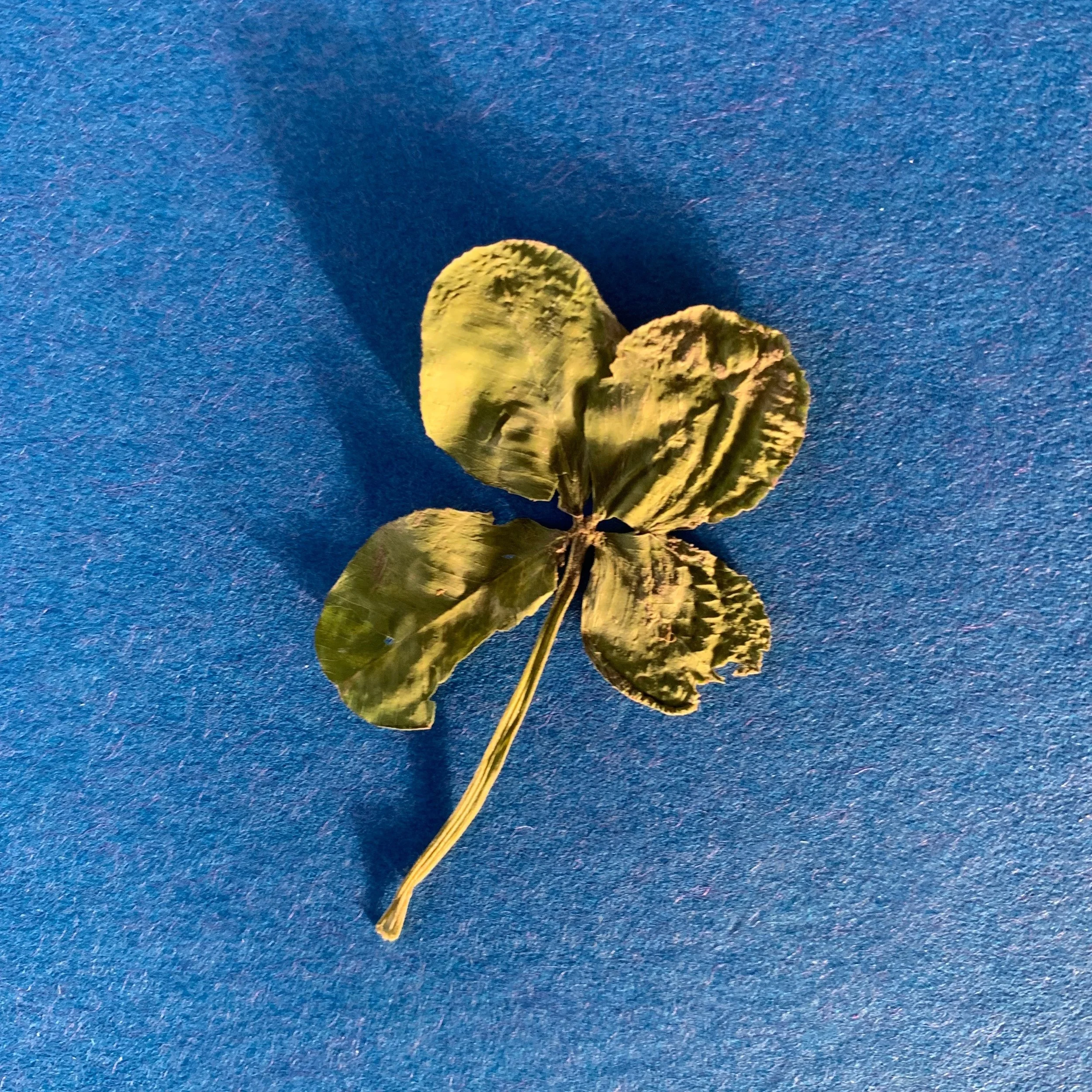 18. Give More to Grow More