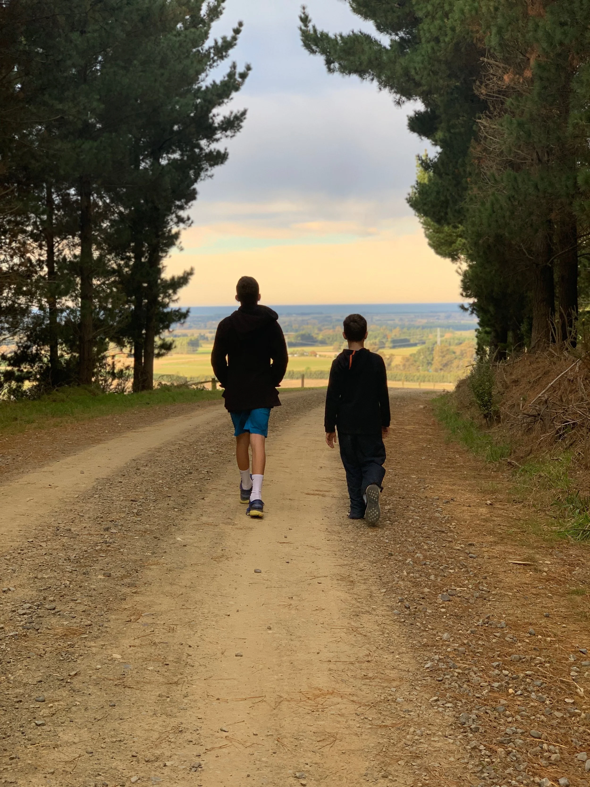 12. Transitions Challenge