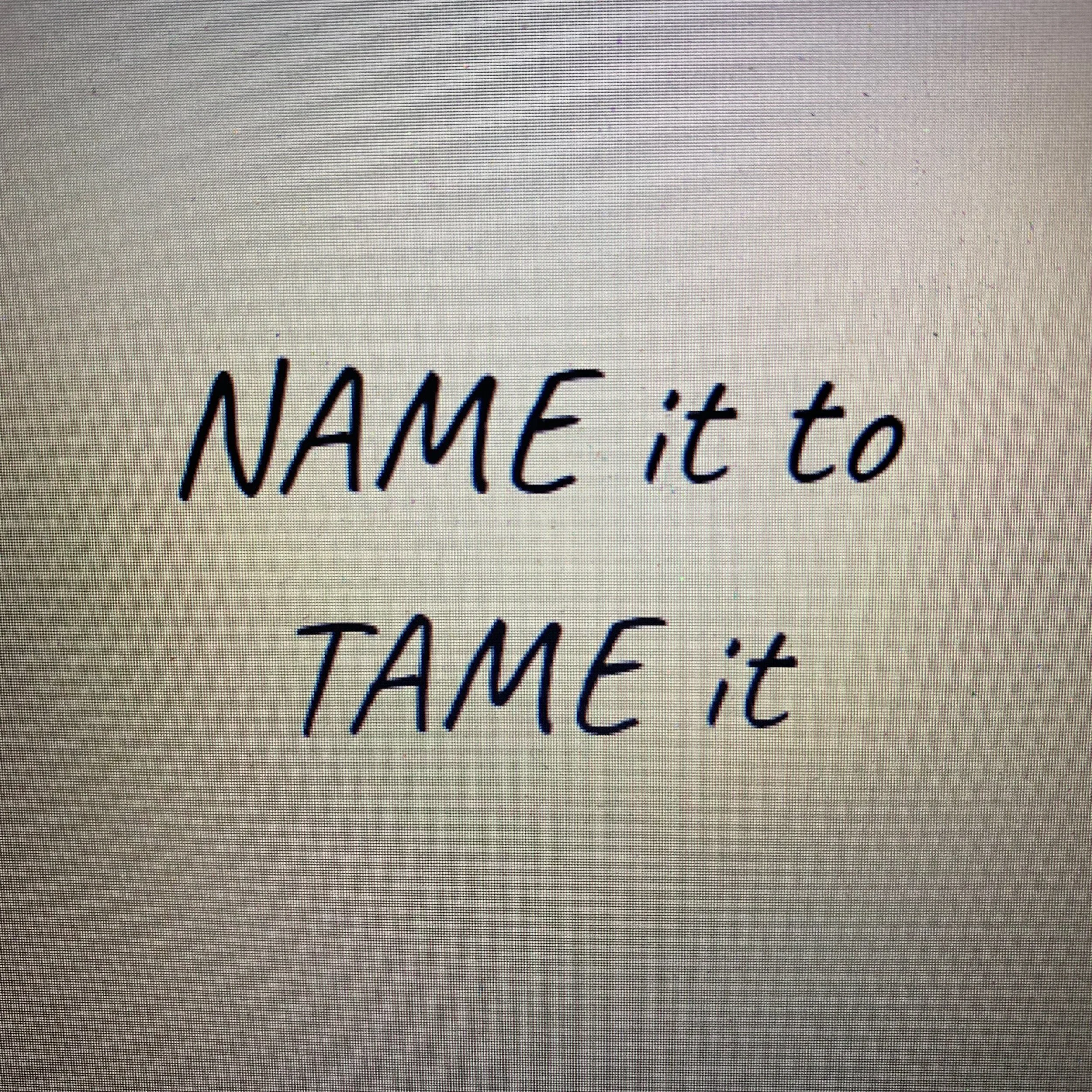 7. ‘Name it’ to 'Tame it'
