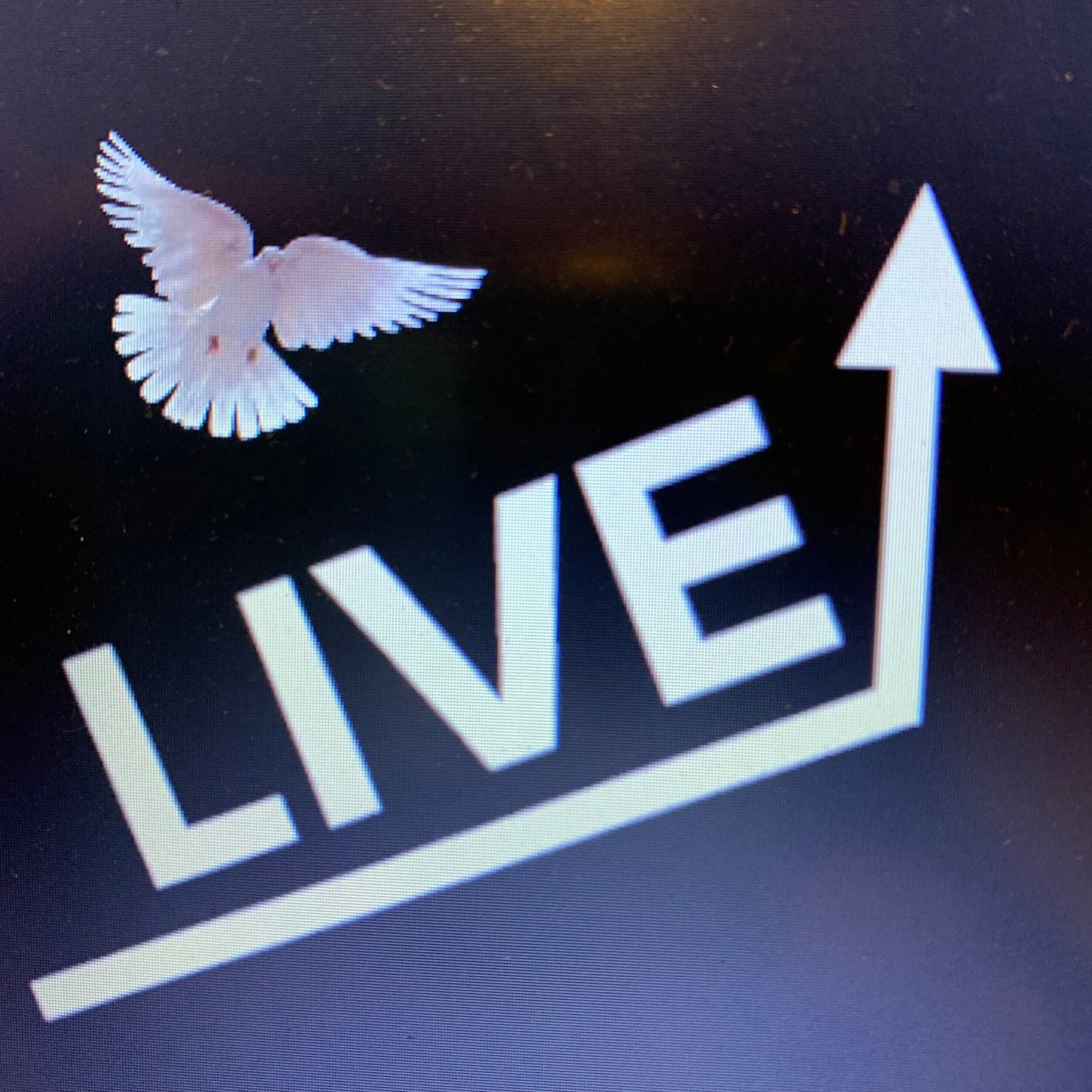 13. Compassion, Kindness, Caring and COVID-19