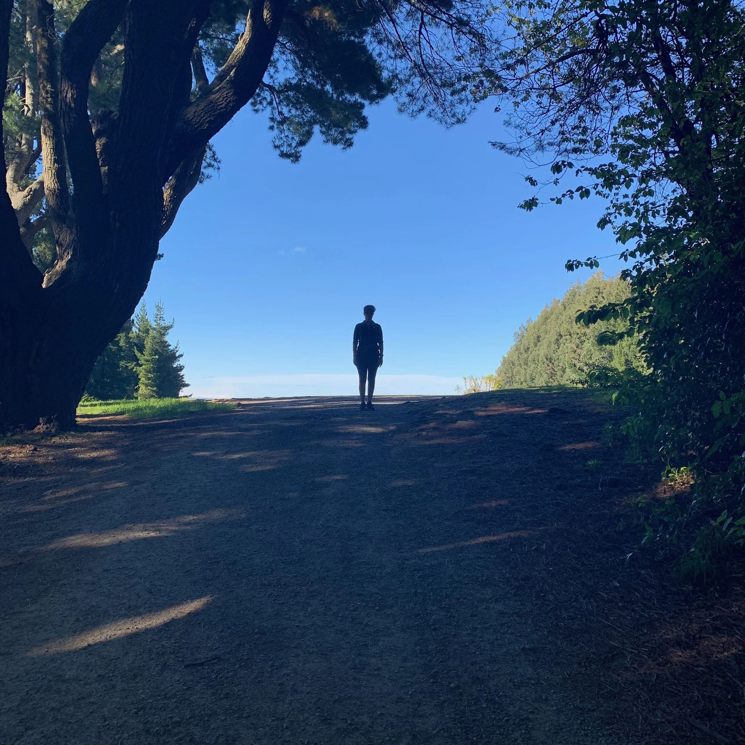 16. The Tunnel - Finding the Light