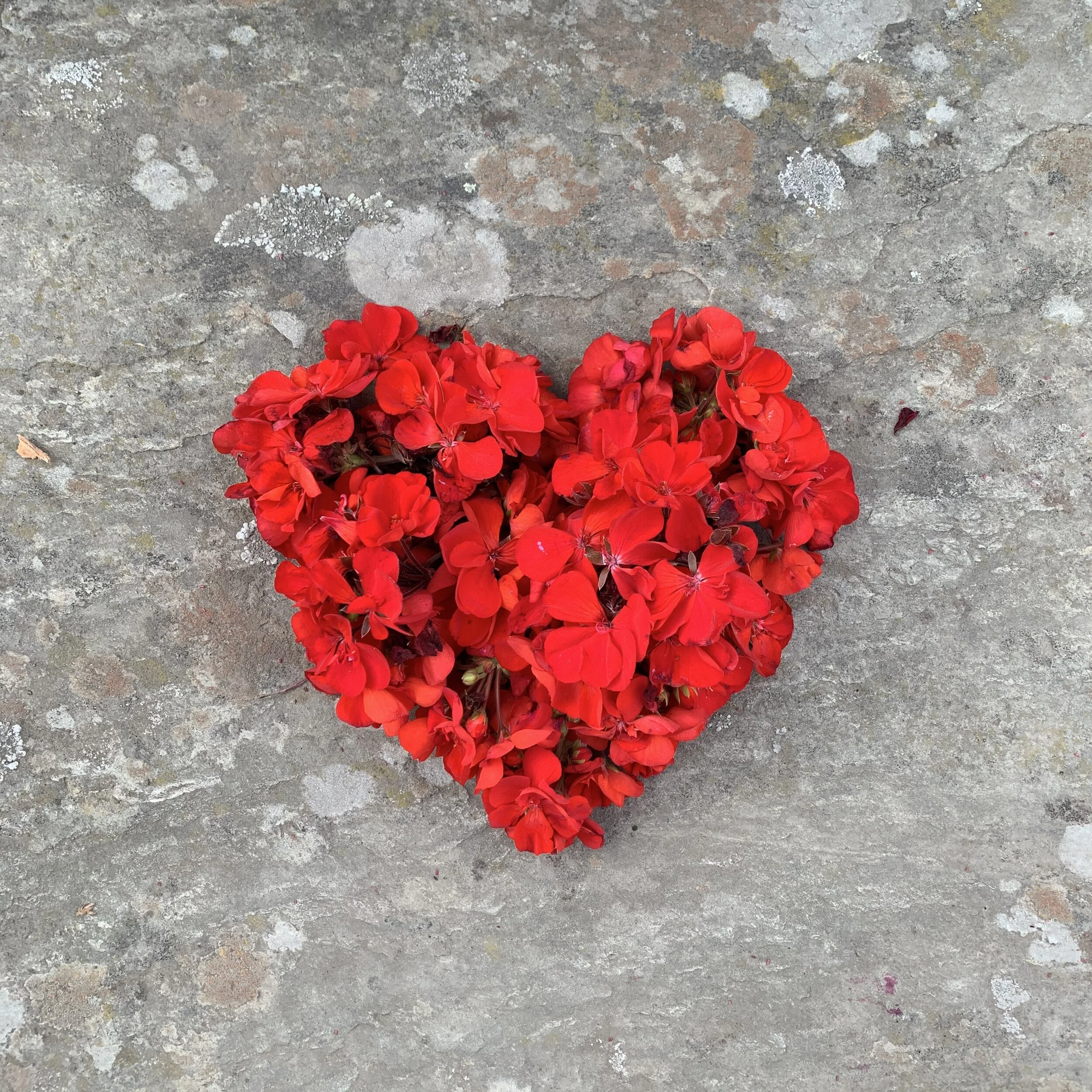 Is Compassion the 'Master' Prosocial Emotion?