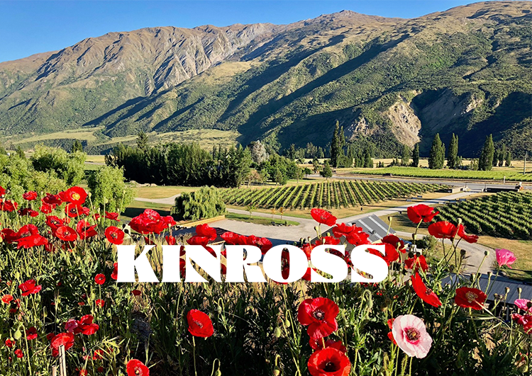 WSET Level 3 Award in Wine, 5th to 10th October 2026, Gibbston Valley,, Central Otago.