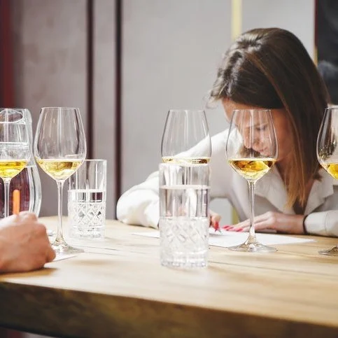 WSET Level 1 Award in Wine, 21st October, 2025. Blenheim