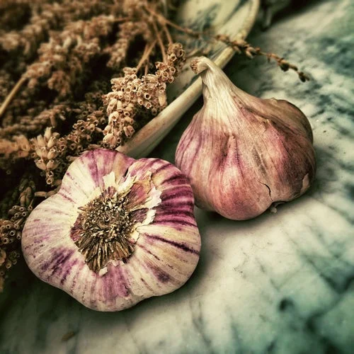 garlic photo-1441861539200-6208cf4a122f.jpeg