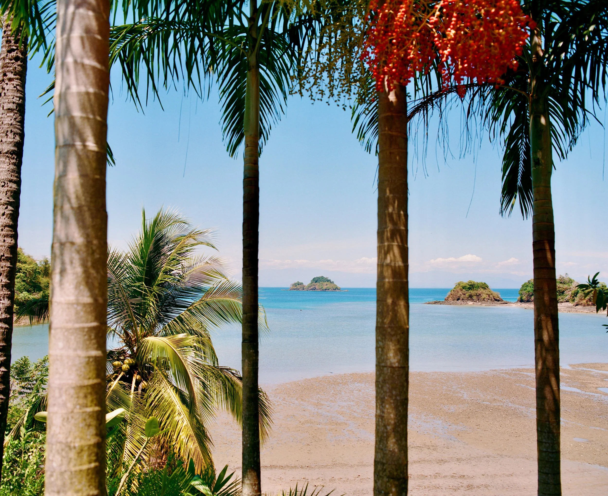 FullSizeRender_VSCO 5.JPG