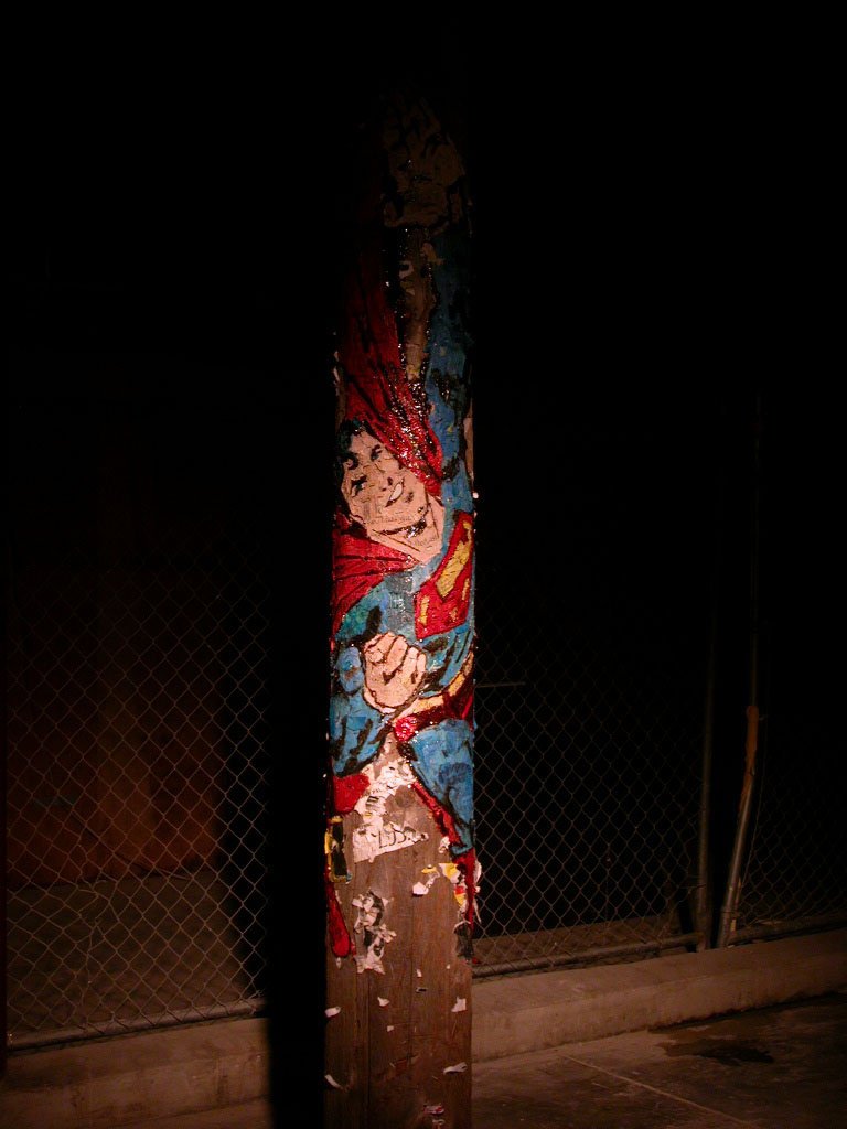 The Utility Pole Project, Panacea Pole, 2003
