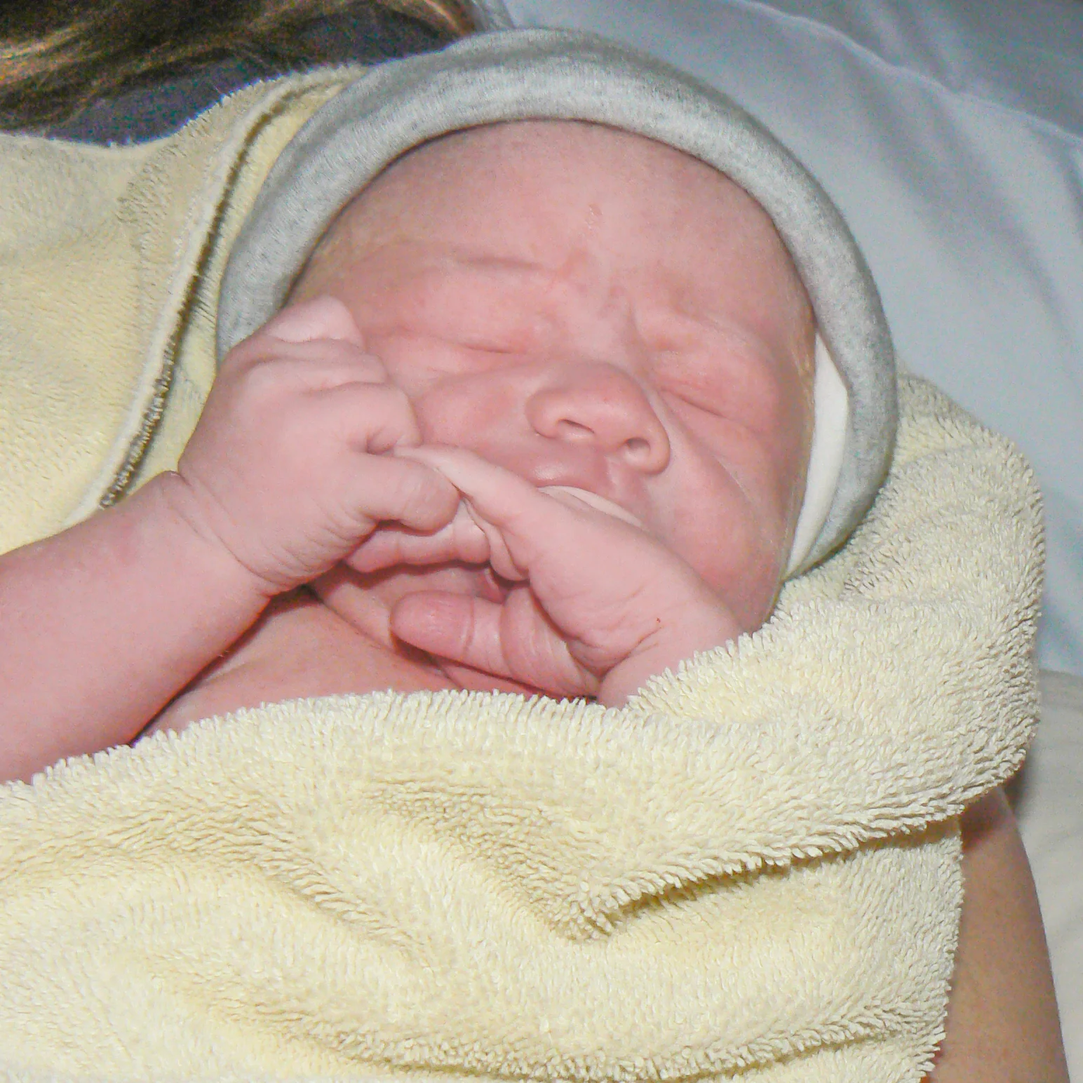 Luke Ryan