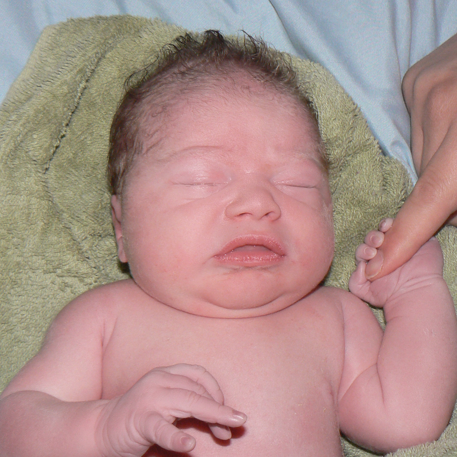 Phoenix Bernard 