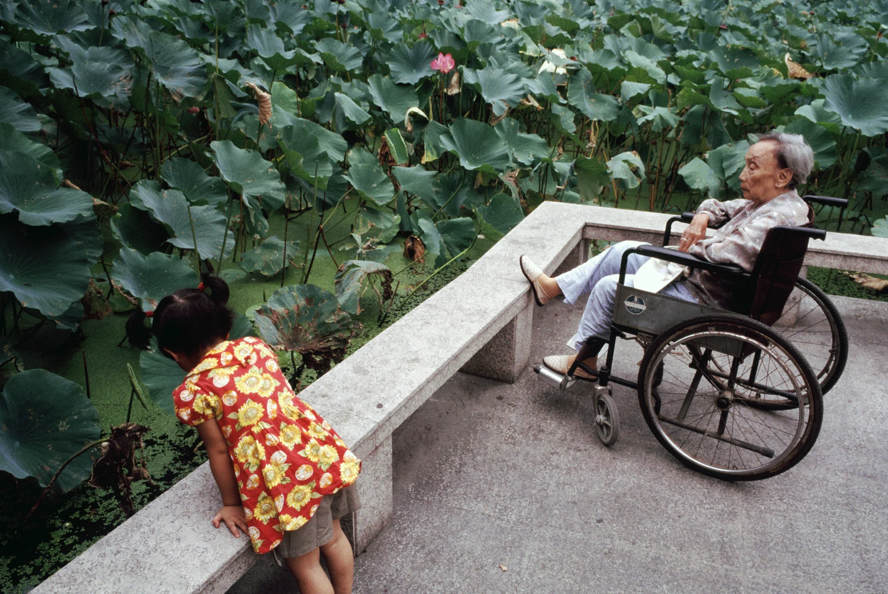 PCT_Shanghai_11.jpg