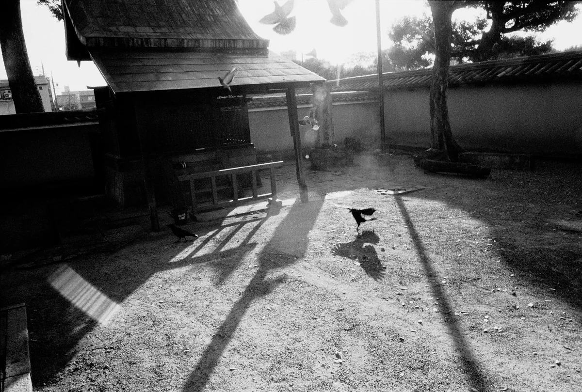 燦射陰12.jpg