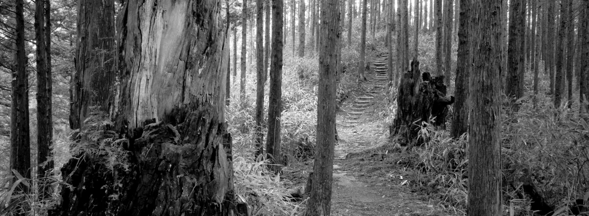 an_old_trail_3.jpg