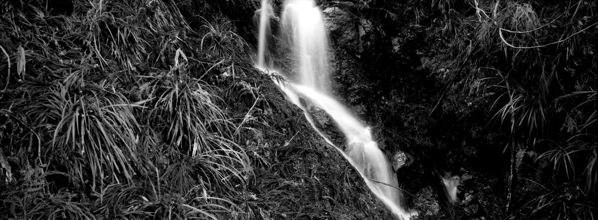 an_old_trail_5.jpg
