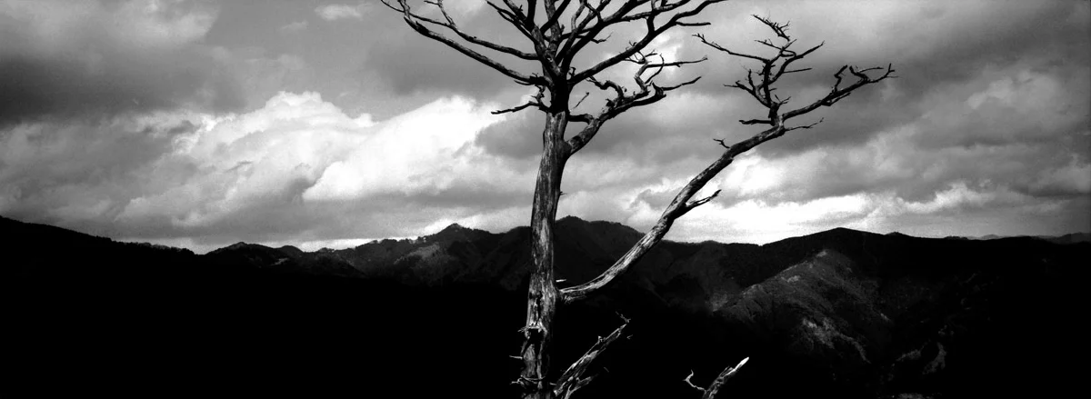 an_old_trail_11.jpg