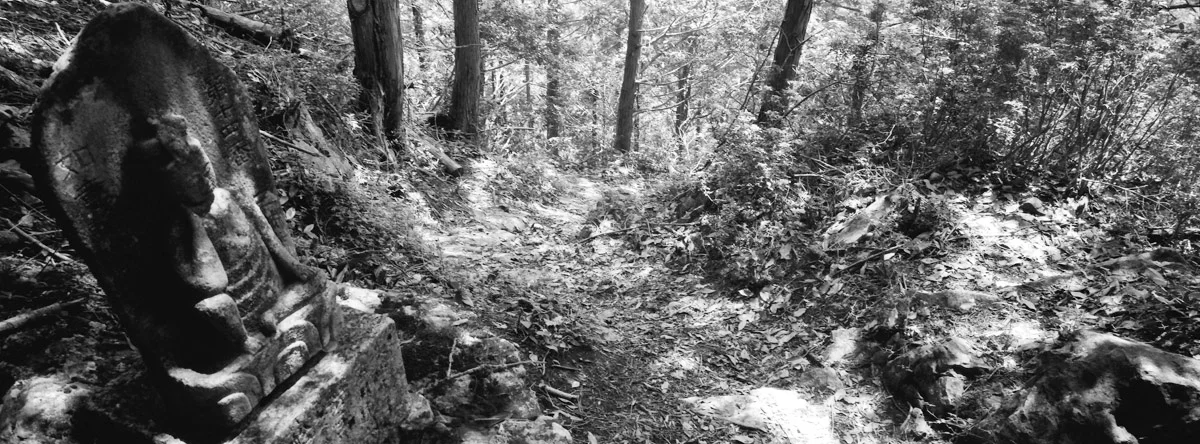 an_old_trail_12.jpg