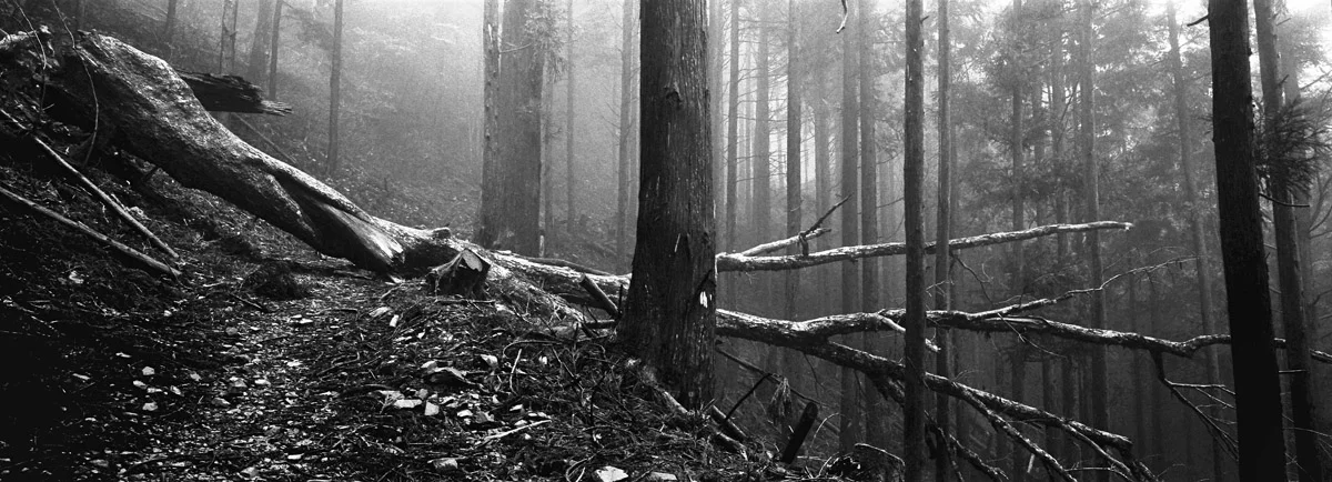 an_old_trail_14.jpg
