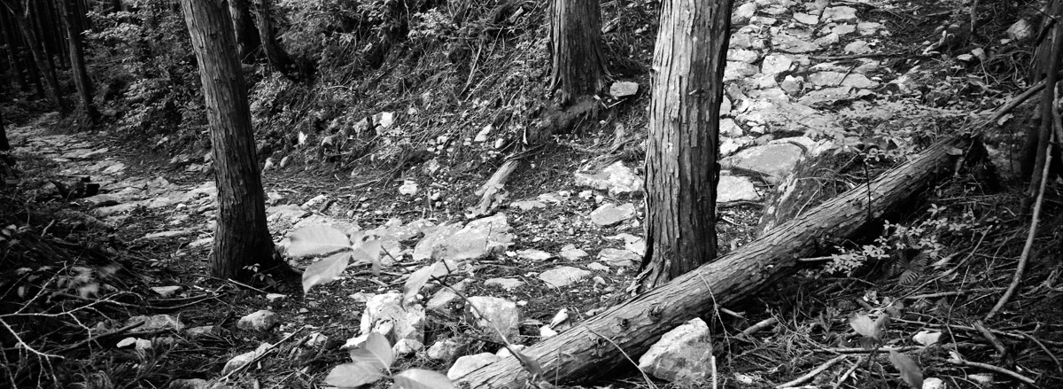an_old_trail_15.jpg