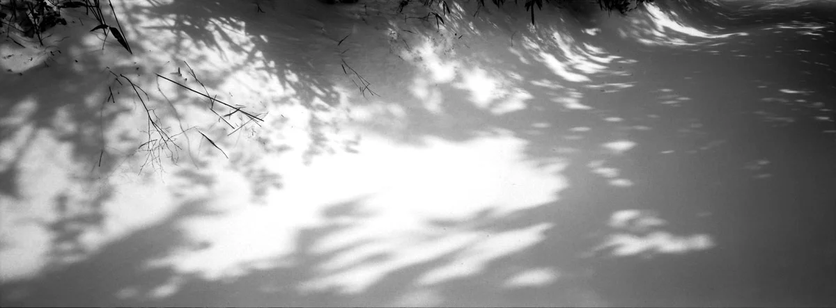 an_old_trail_17.jpg