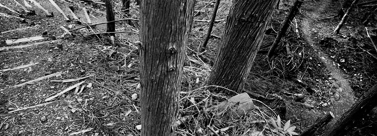 an_old_trail_19.jpg