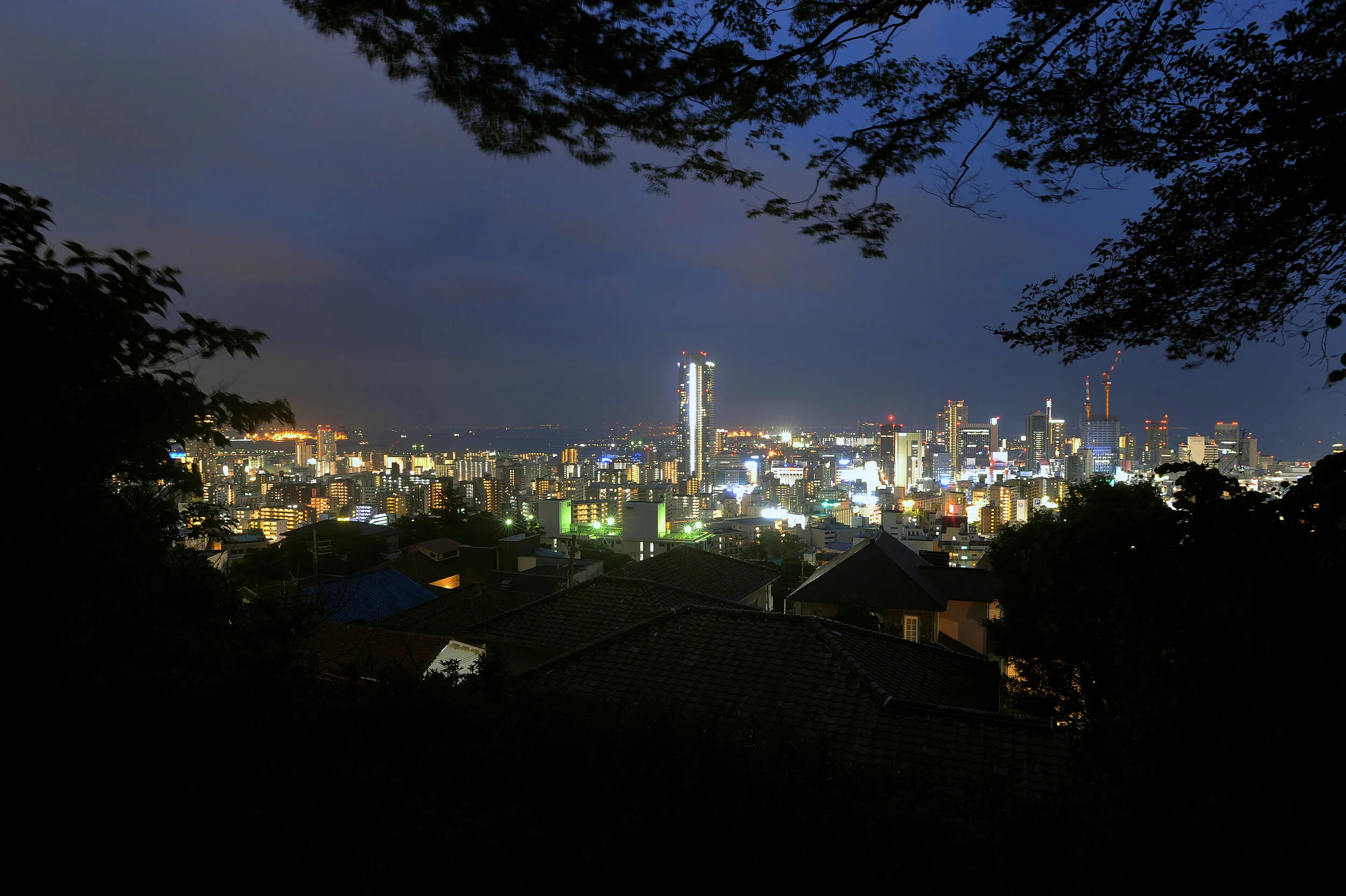           WEEK 9 (June 6th, 2020), KYOTO, 16 days after the state of emergency was lifted in Keihanshin prefectures        