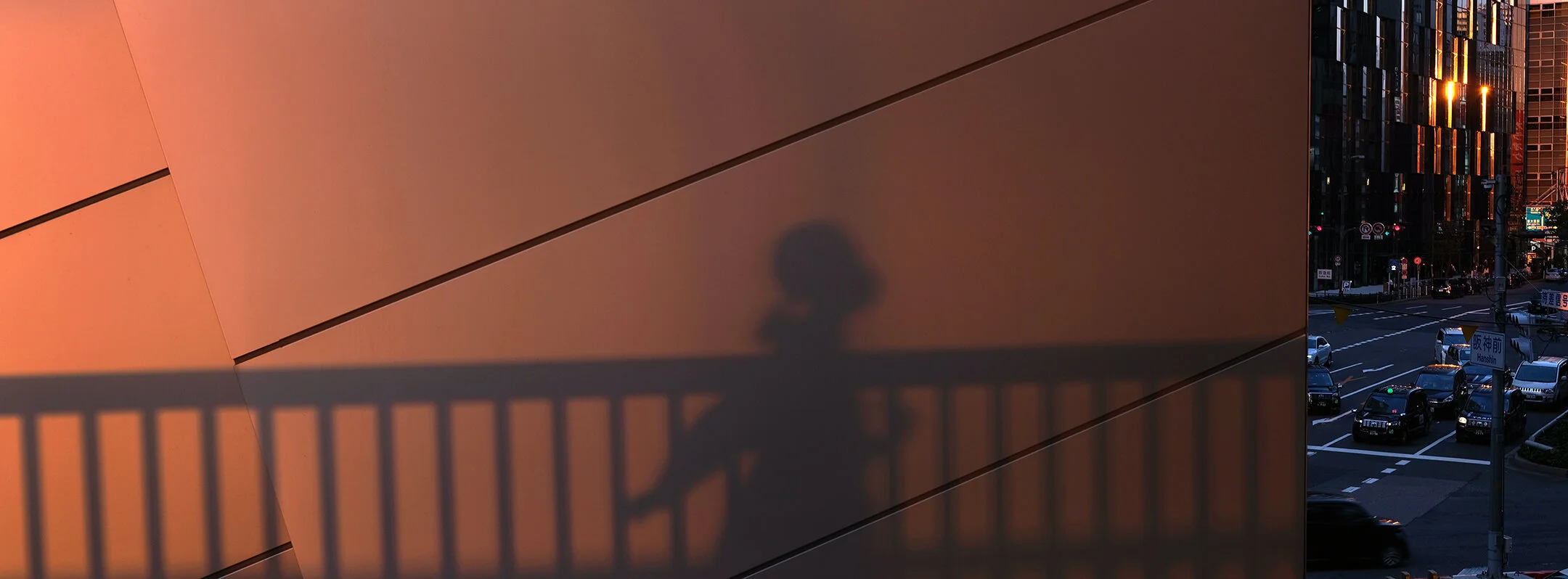 PPE / Pandemic Panoramic Exposures: Cycle 5-Week 13, OSAKA　