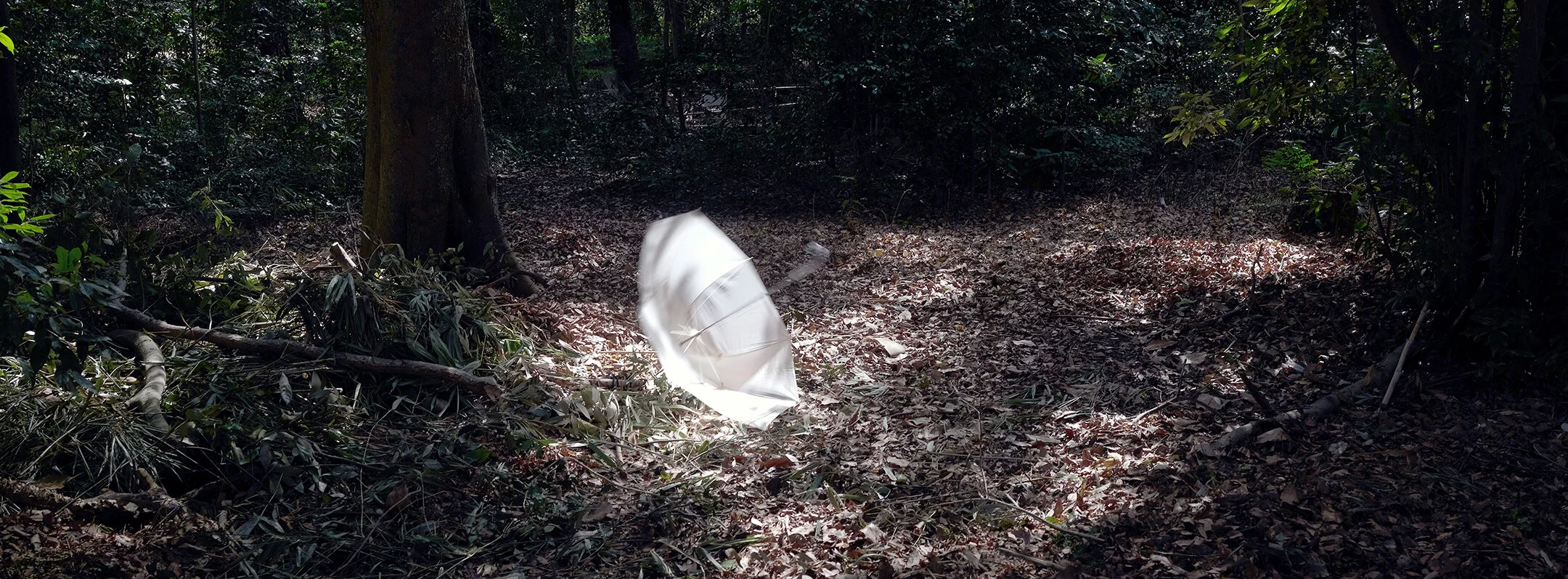 PPE / Pandemic Panoramic Exposures: Cycle 5-Week 14, KYOTO