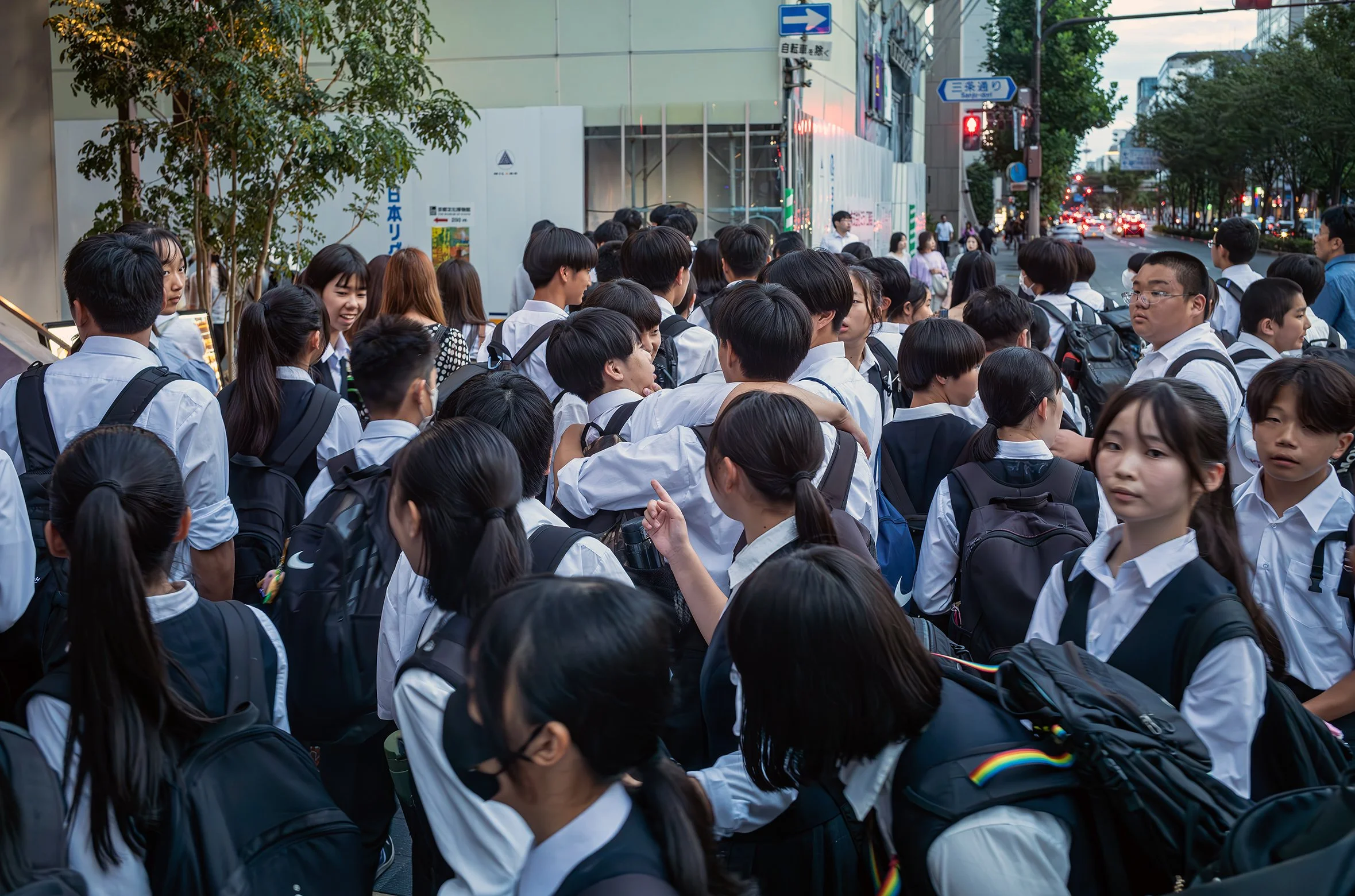 L1008391-強化-NRのコピー.jpg