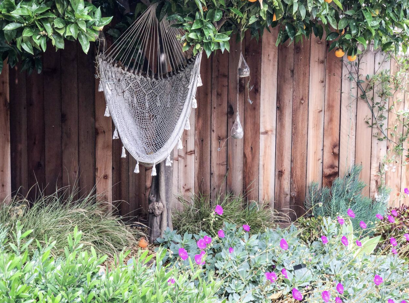 Screen Shot 2020-02-02 at 7.52.10 AM.png